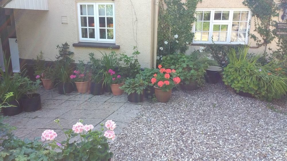 Brambles Bed And Breakfast Tiverton  Dış mekan fotoğraf