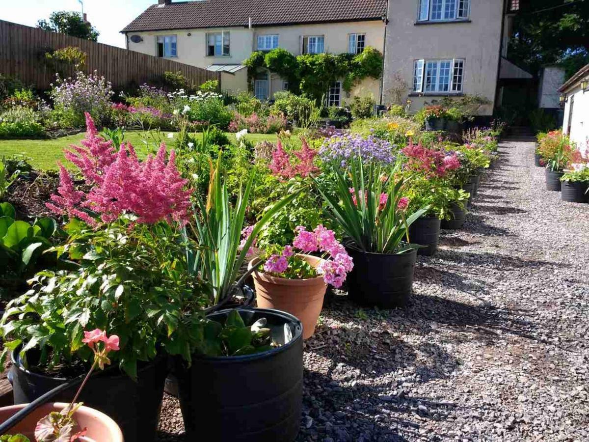 Brambles Bed And Breakfast Tiverton  Dış mekan fotoğraf