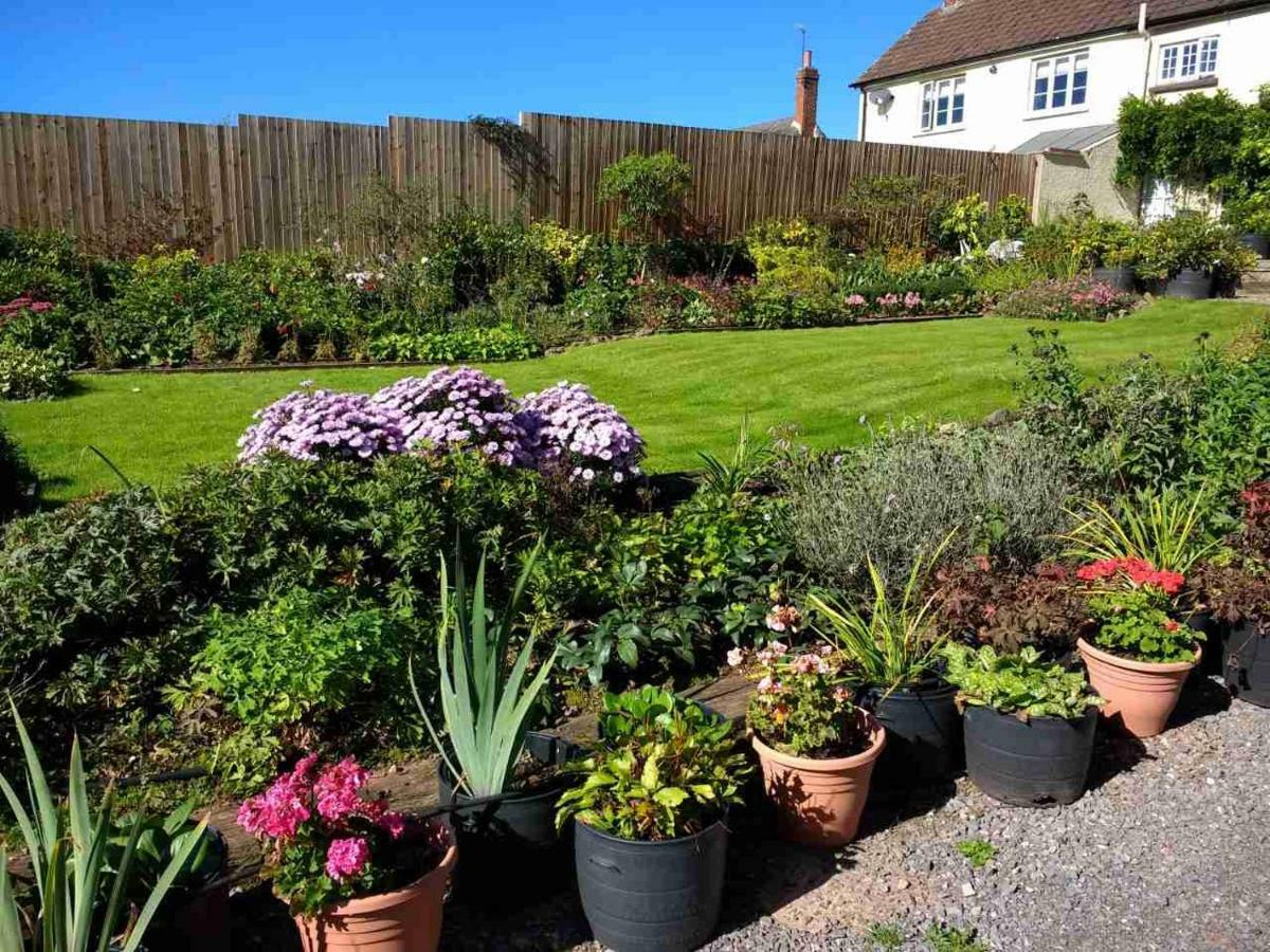Brambles Bed And Breakfast Tiverton  Dış mekan fotoğraf